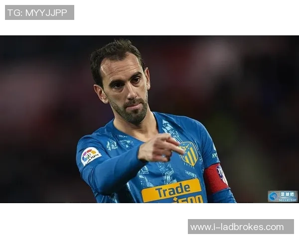 足球专业马的成长之路与未来发展展望分析