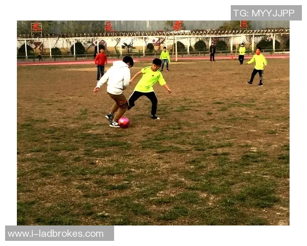 足球飞起梦想起航在绿茵场上追逐激情与荣耀的青春岁月